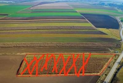 Teren de 3319 mp, în Arcuș - 6