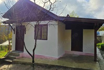 Casa de vacanta zona de padure, Trestioara Prahova - 8