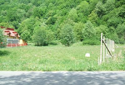 Raul Mare Retezat, Parcul National Retezat, Judetul Hunedoara