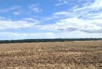 Teren de 2500 mp, în Brănești - 5