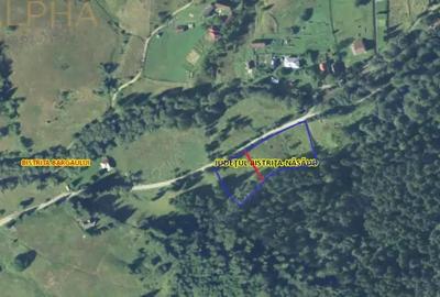 Teren de 1000 mp, în Colibița