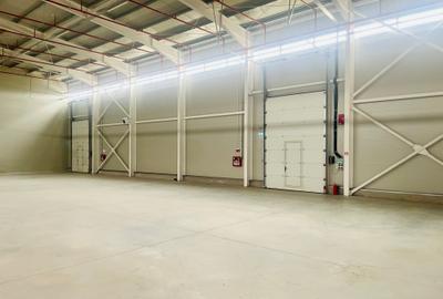 Hala - Drumul Intre Tarlale - Noua - Aviz ISU Hala - Drumul Intre Tarlale - Noua - Aviz ISU - 5