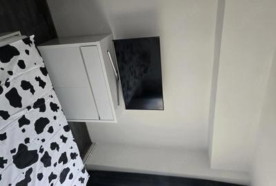 Apartament cu 2 camere decomandat în Ultracentral - 3