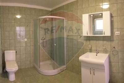 Casă individuală cu 5 camere cu Teren 520 Mp în Paleu - 7