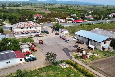 Oportunitate vie 54 ha la DN E85 - 10