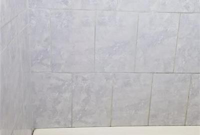 Reco Garsoniera  Nufarul 23000 euro - 5