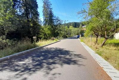 Casă cu 6 camere cu Teren 4950 Mp în Timișu de Sus