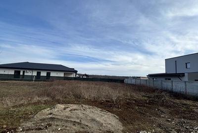 Spațiu comercial, în Balotești - 5