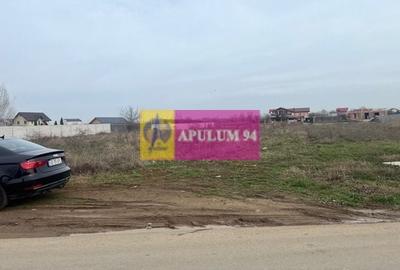 Teren Domnesti- Drumul Targului. - 2