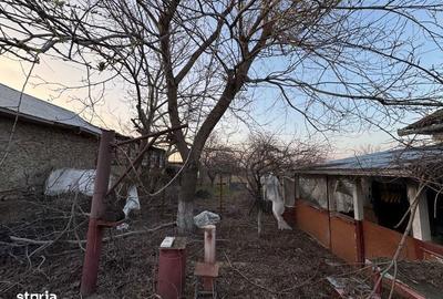 Casă cu 4 camere cu Teren 1370 Mp în Slobozia - 4