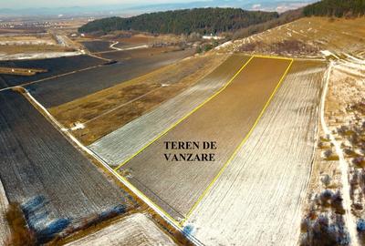 Teren in Sanpetru zona Lempes, retras cu panorama deosebita - 3