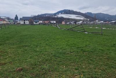 De vanzare teren intravilan 2466 mp Bucovina - Frumosu - 5