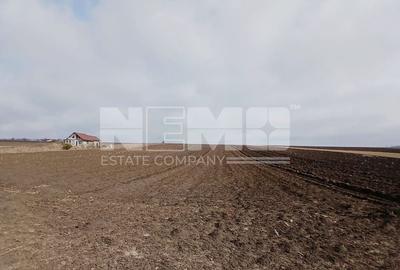 Teren Moara, Suceava I 77 ARI I Preț 2.500 euro/ar - 2