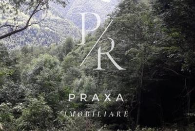 Teren Construcții extravilan de 10000 mp, în Măguri-Răcătău - 13