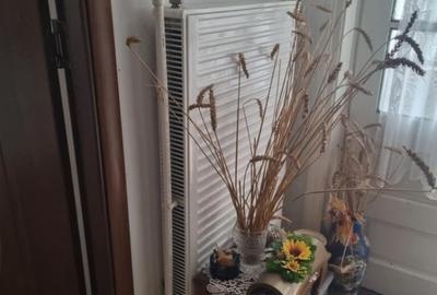 Casa de vanzare in calarasi - 4