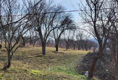 Teren de 4300 mp, în Central - 9