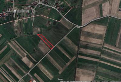 Teren de 3200 mp, în Culcea - 4