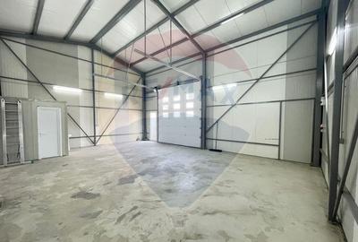 Hala constructie noua + spatiu de birouri stradal - 12