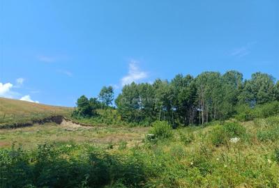 Teren de 4500 mp, în Brebu - 9