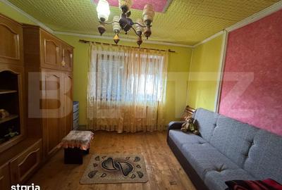 Casă cu 4 camere cu Teren 2000 Mp în Beriu - 9