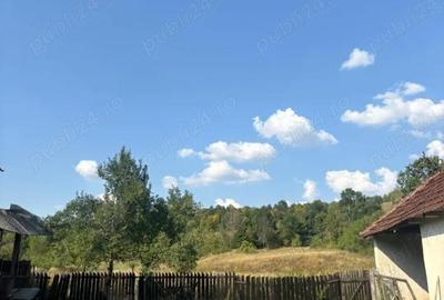 Casă în Groși - 6