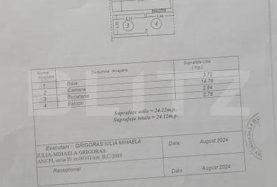 Garsonieră decomandată, mobilată în Ciurea - 7