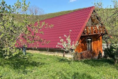 Casă cu 3 camere cu Teren 1400 Mp în Central - 2