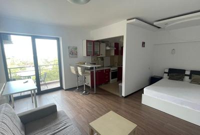 Garsonieră semidecomandată, mobilată în Tineretului - 2