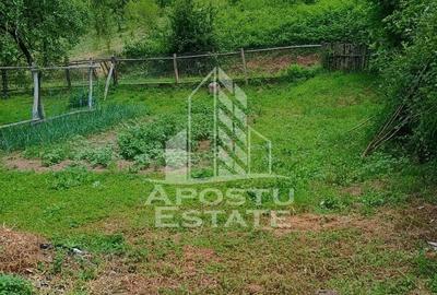 Casa bătrânească de vânzare | 4 camere | Hunedoara | Micănești - 36