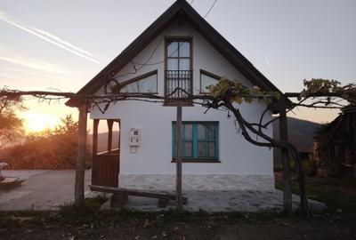 Casă cu 2 camere în Dulcele - 5
