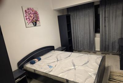Apartament cu 2 camere decomandat, mobilat în Haliu - 9