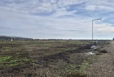 Loturi de teren 638 mp - curent tras la teren - Crevedia - 2