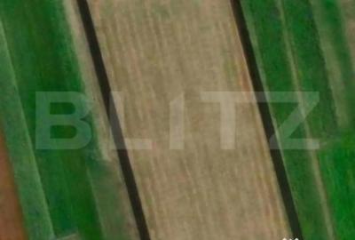 Teren de 10000 mp, în Central