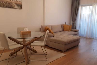 Apartament cu 2 camere decomandat în Herăstrău - 8