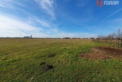 COMISION 0% Teren intravilan 6400 mp la drum asfaltat - Padureni - 19