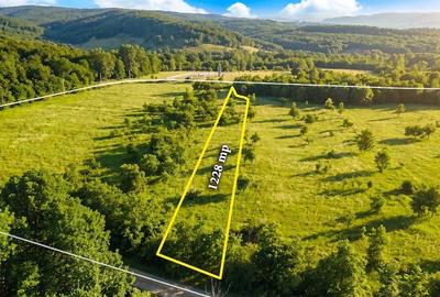 Teren de 1228 mp, în Mănești - 4