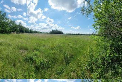 Casă cu 3 camere în Făgețelu - 6