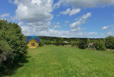 Teren intravilan de vanzare Unghi- jud. Neamt - 7