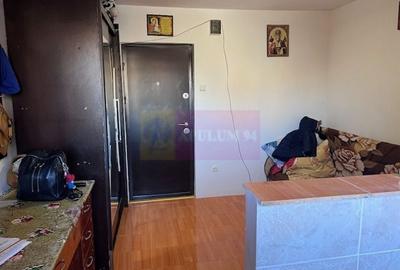 Garsoniera confort 3 Metalurgiei- Drumul Cretestilor. - 5