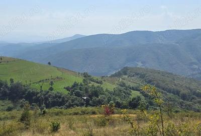 Teren de 4719 mp, în Râmeț - 7