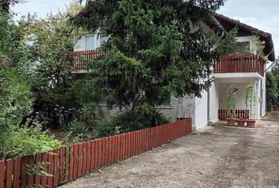 Casă cu 4 camere cu Teren 1690 Mp în Lipia - 3