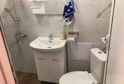 Apartament de 2 camere in zona Balcescu de inchiriat - 4