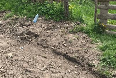 Casă cu Teren 3300 Mp în Central - 3