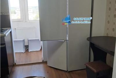 De inchiriat gars 42 mp  fratii golesti  la cheie - 5