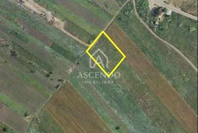 Teren Intravilan 3.000 mp Jilava  Investiție sau Rezidențial - 2