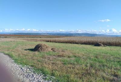 Spațiu comercial, în Simeria - 4