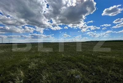 Teren Construcții extravilan de 2800 mp, în Nord-Vest - 2