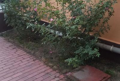 Casă cu 4 camere în Preajba - 6