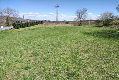 Teren de 3100 mp, în Moldovenești - 7