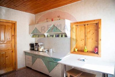 De Vanzare Pensiune Rustica De Vis Pe Ruta Leresti-Voina - 10